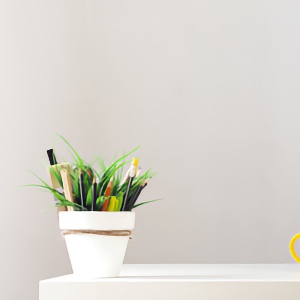 Wohlfühlen am Arbeitsplatz: Feng Shui macht den Alltag leichter